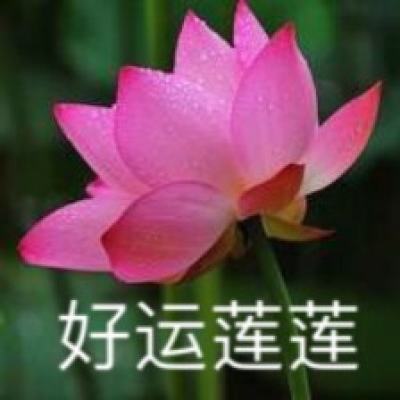 广东福彩去年筹集公益金逾50亿元